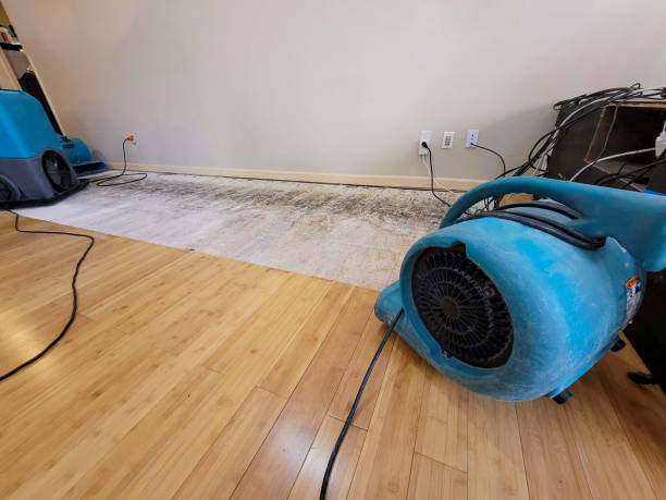 Reliable Basement Flood Cleanup contractor in Oxford, MI by Hirex Water Damage