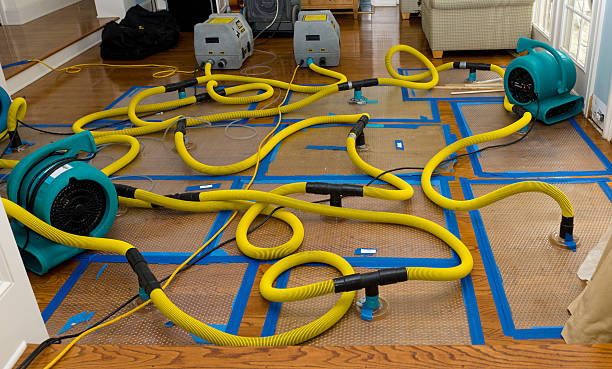 Professional Basement Flood Cleanup technician working in Oxford, MI